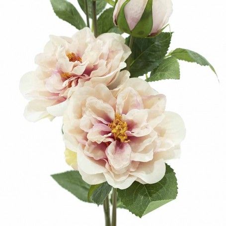 Ramo con 5 Camelie Rosa H.89 cm