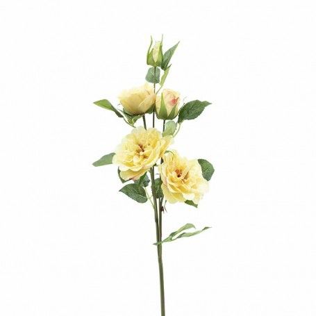 Ramo con 5 Camelie H.89 cm