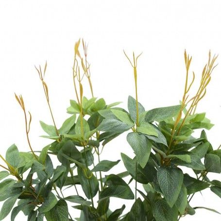 Ramo con Foglie Verdi