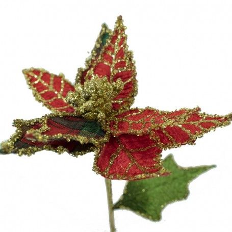 Stella di Natale Rossa e Oro H.60 cm