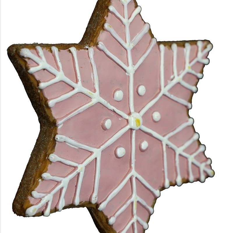 Fiocchi di Neve in Resina da Appendere 4 Colori