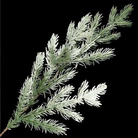 Rametto Natalizio di Pino Innevato H.77 cm
