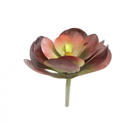 Fiore di Pianta Grassa Rosso e Verde H.23 cm