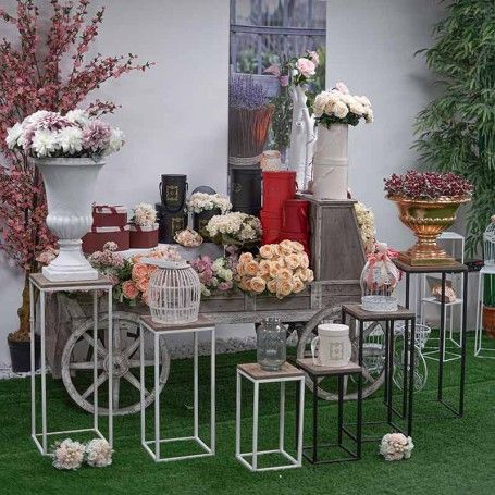 Set Espositore Estraibile Bingo White