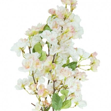 Fiori di Ciliegio Rosa