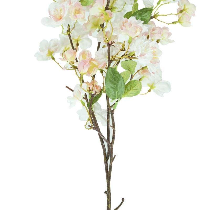 Fiori di Ciliegio Rosa