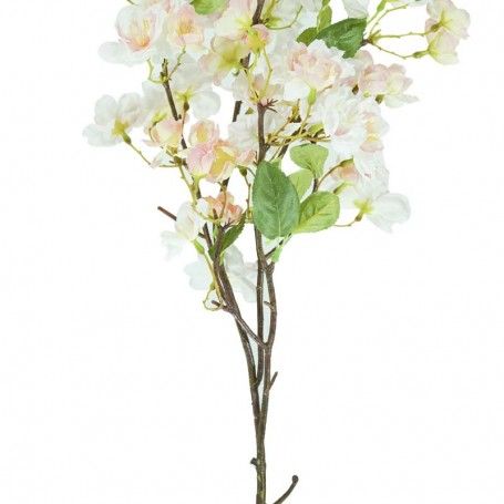 Fiori di Ciliegio Rosa