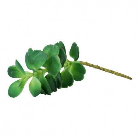 Pick di Pianta Grassa Verde H.25 cm