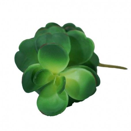 Pick di Pianta Grassa Verde H.25 cm