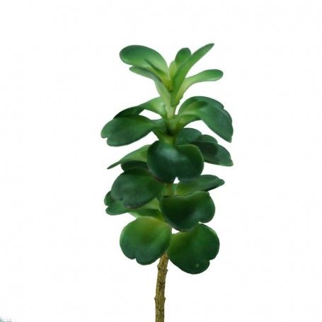 Pick di Pianta Grassa Verde H.25 cm