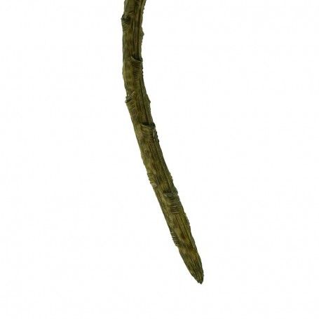 Pick di Pianta Grassa Verde H.25 cm