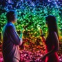 Stringa 100 Luci Led Multicolore RGB Regolabili da Smartphone Cavo Nero | Twinkly