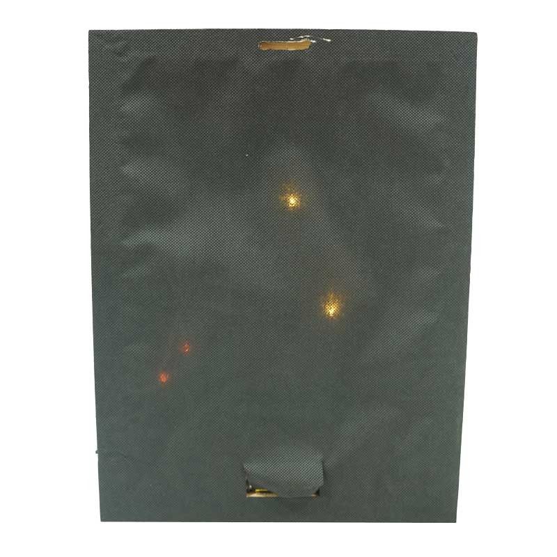 Quadro Luminoso con Pattini e Slittino 4 Luci Led