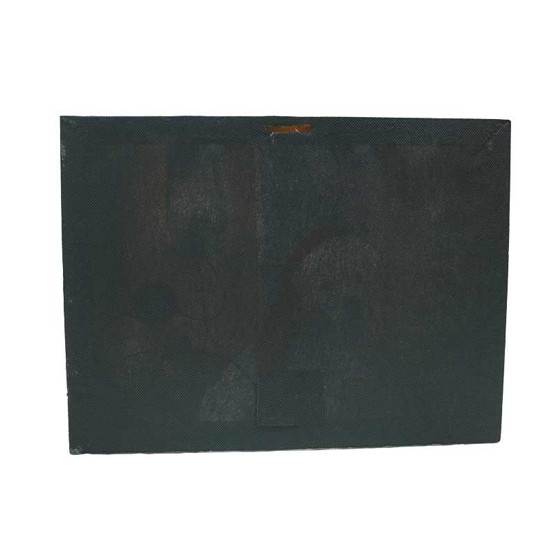 Quadro Natalizio Luminoso con 1 Luce Led