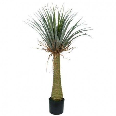 Pianta Sisal Artificiale H.140 cm