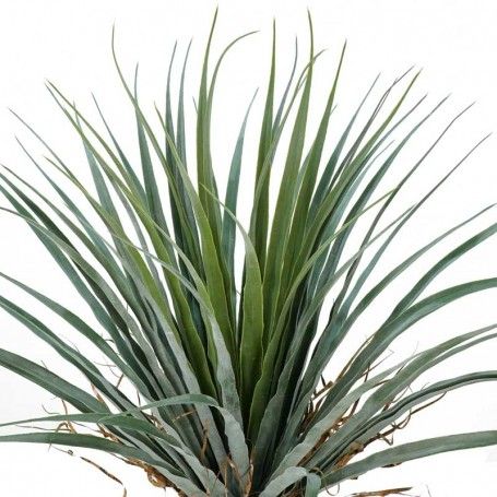 Pianta Sisal Artificiale H.140 cm