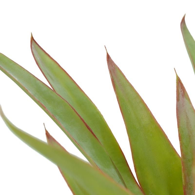 Pianta Sisal Artificiale H.100 cm