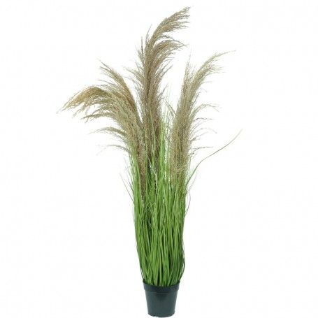 Pianta Pampas Artificiale con Phragmites