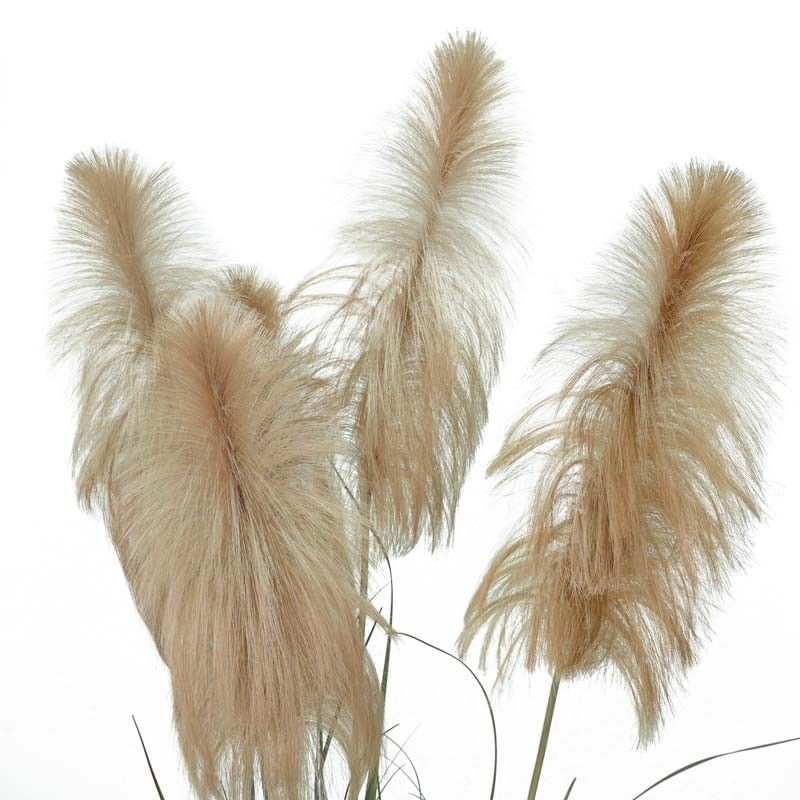 Pianta Pampas Artificiale H.190 cm