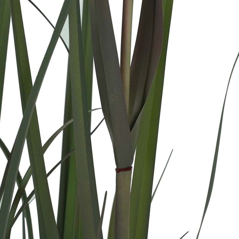 Pianta Pampas Artificiale H.190 cm