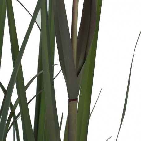 Pianta Pampas Artificiale H.190 cm