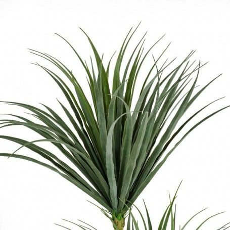 Pianta Palma Artificiale con 3 Tronchi H.195 cm