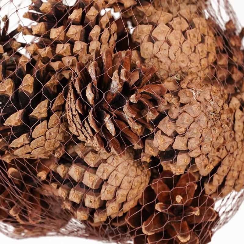 Pigne Natalizie Naturali Cf. da 24 Pz