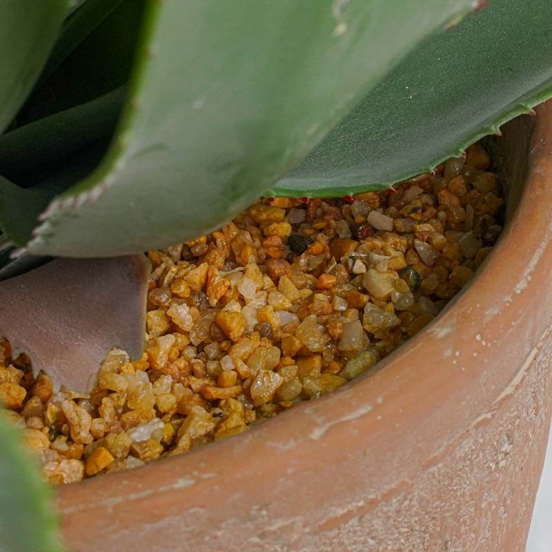 Pianta Agave Artificiale con Vaso in Terracotta H.56 cm