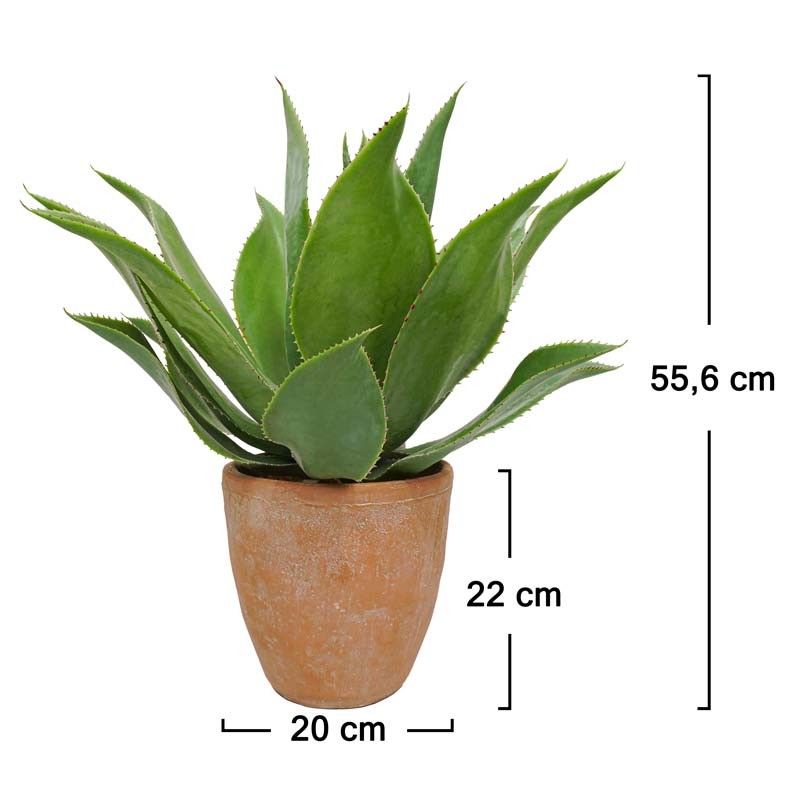 Pianta Agave Artificiale con Vaso in Terracotta H.56 cm