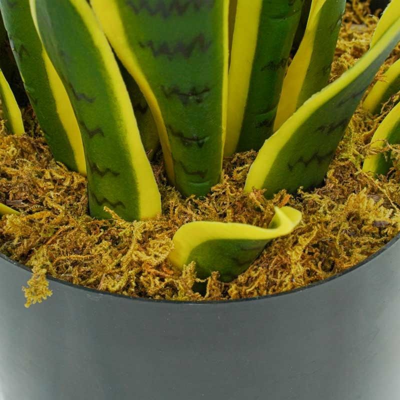 Pianta Sansevieria Artificiale