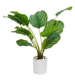 Pianta Calathea Artificiale con Vaso Bianco