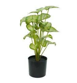 Pianta Calathea Artificiale con Vaso Grigio