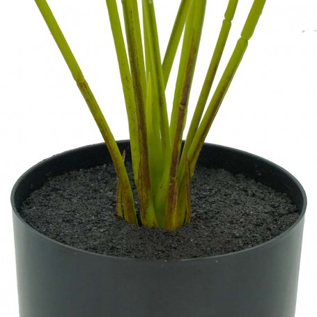 Pianta Calathea Artificiale con Vaso Grigio