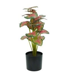 Pianta Calathea Rossa Artificiale con Vaso Grigio