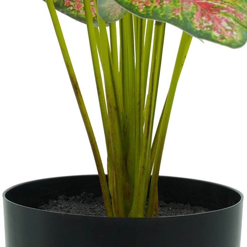Pianta Calathea Rossa Artificiale con Vaso Grigio