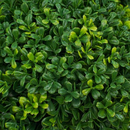 Pianta Bosso Artificiale con Tronchi in Legno