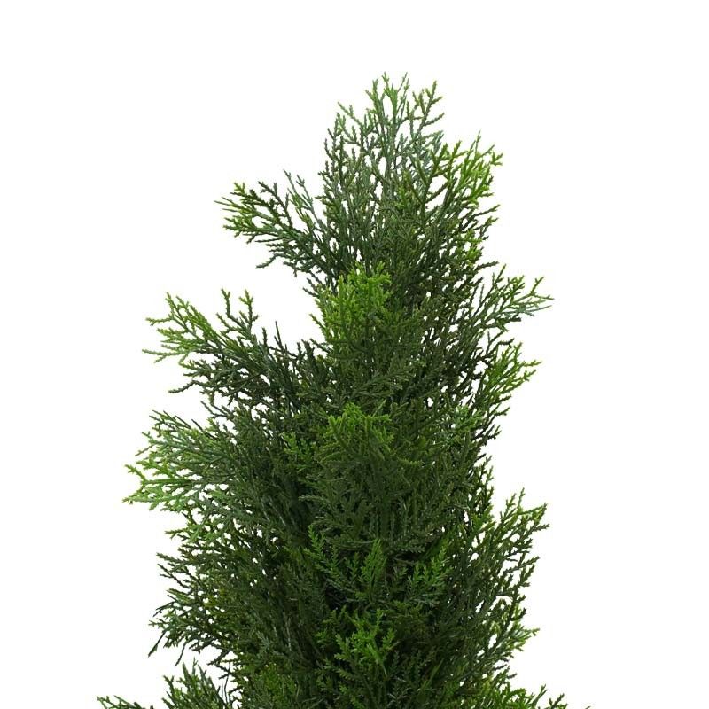 Pianta Cipresso Artificiale con Vaso Nero