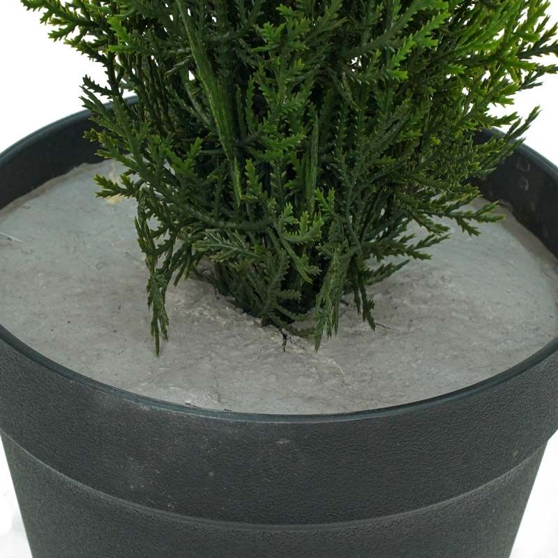 Pianta Cipresso Artificiale con Vaso Nero
