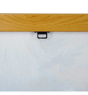 Quadro su Tela con Pappagallo Tropicale 60x80 cm