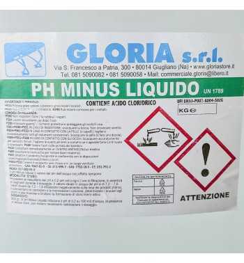 PH Meno per Piscine Liquido 25 kg