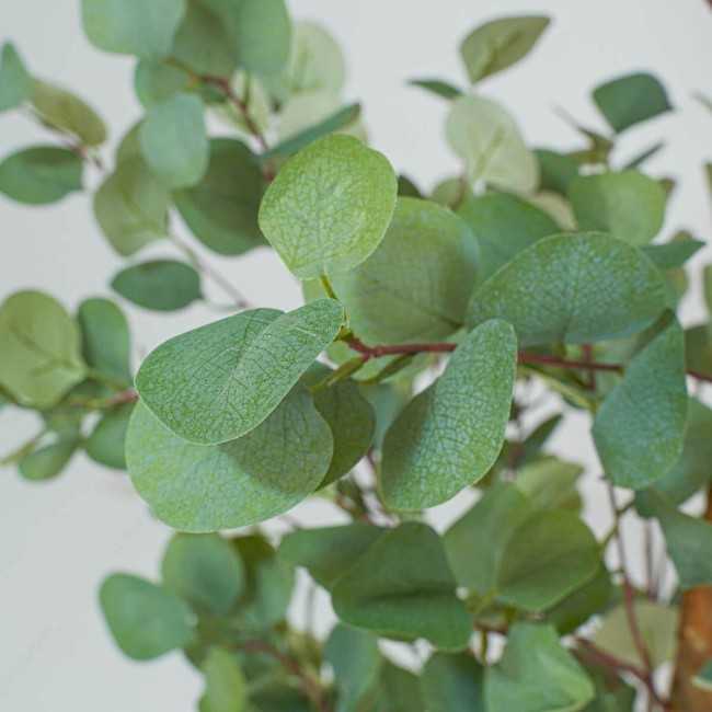 Pianta Eucalipto Artificiale