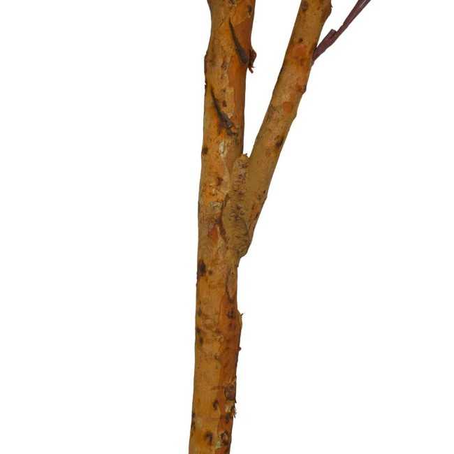 Pianta Eucalipto Artificiale