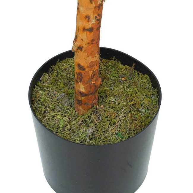 Pianta Eucalipto Artificiale