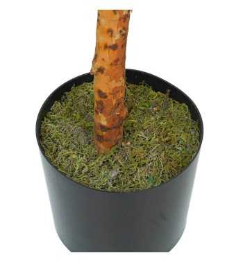 Pianta Eucalipto Artificiale