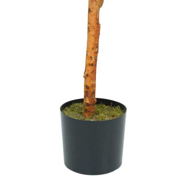 Pianta Eucalipto Artificiale