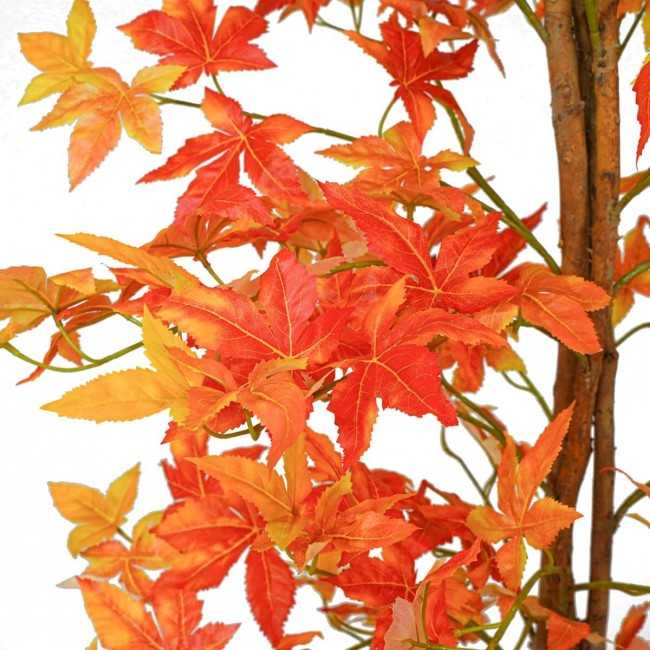 Pianta Acero Artificiale