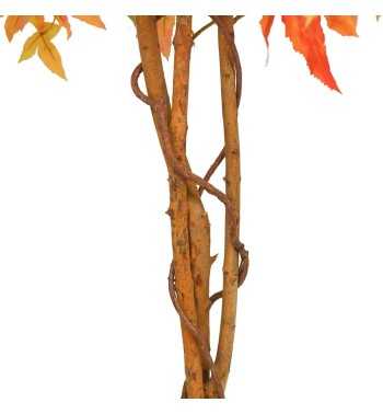 Pianta Acero Artificiale