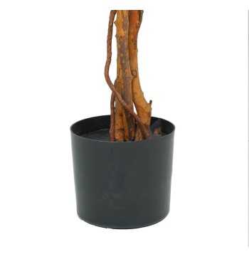 Pianta Acero Artificiale