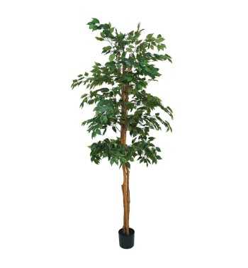 Pianta Ficus Benjamin Artificiale