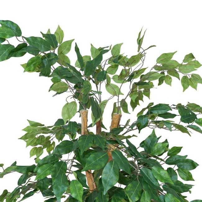 Pianta Ficus Benjamin Artificiale